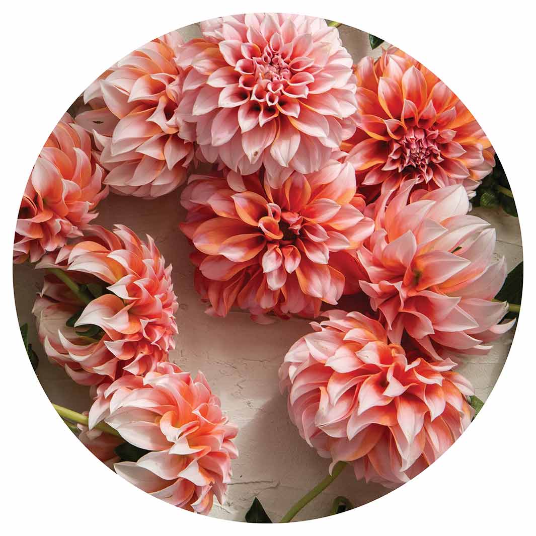 FLORAL ORANGE SCATTERED DAHLIAS WITH LEAVES ROUND COFFEE TABLE