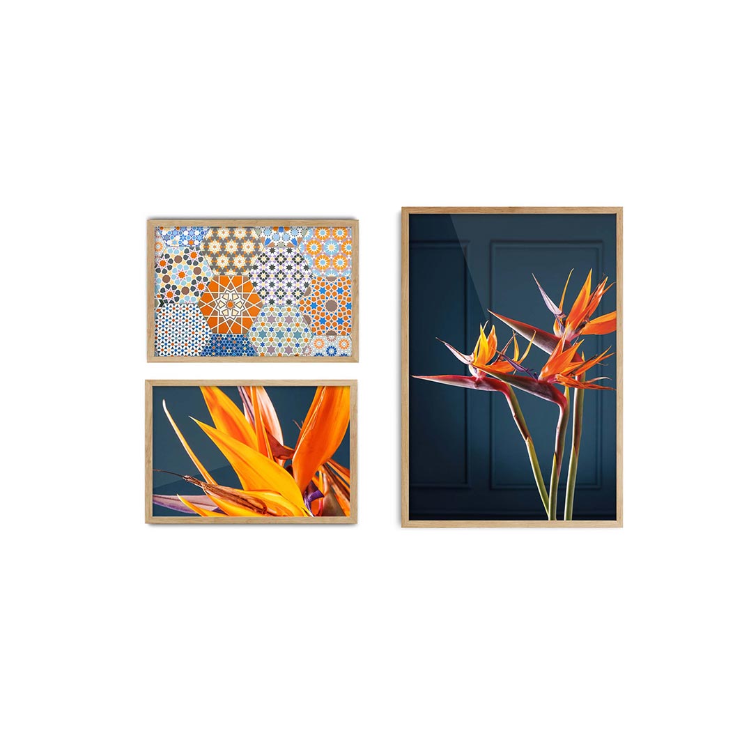 STRELITZIA ORANGE AND BLUE CURATED WALL ART 3 PIECE