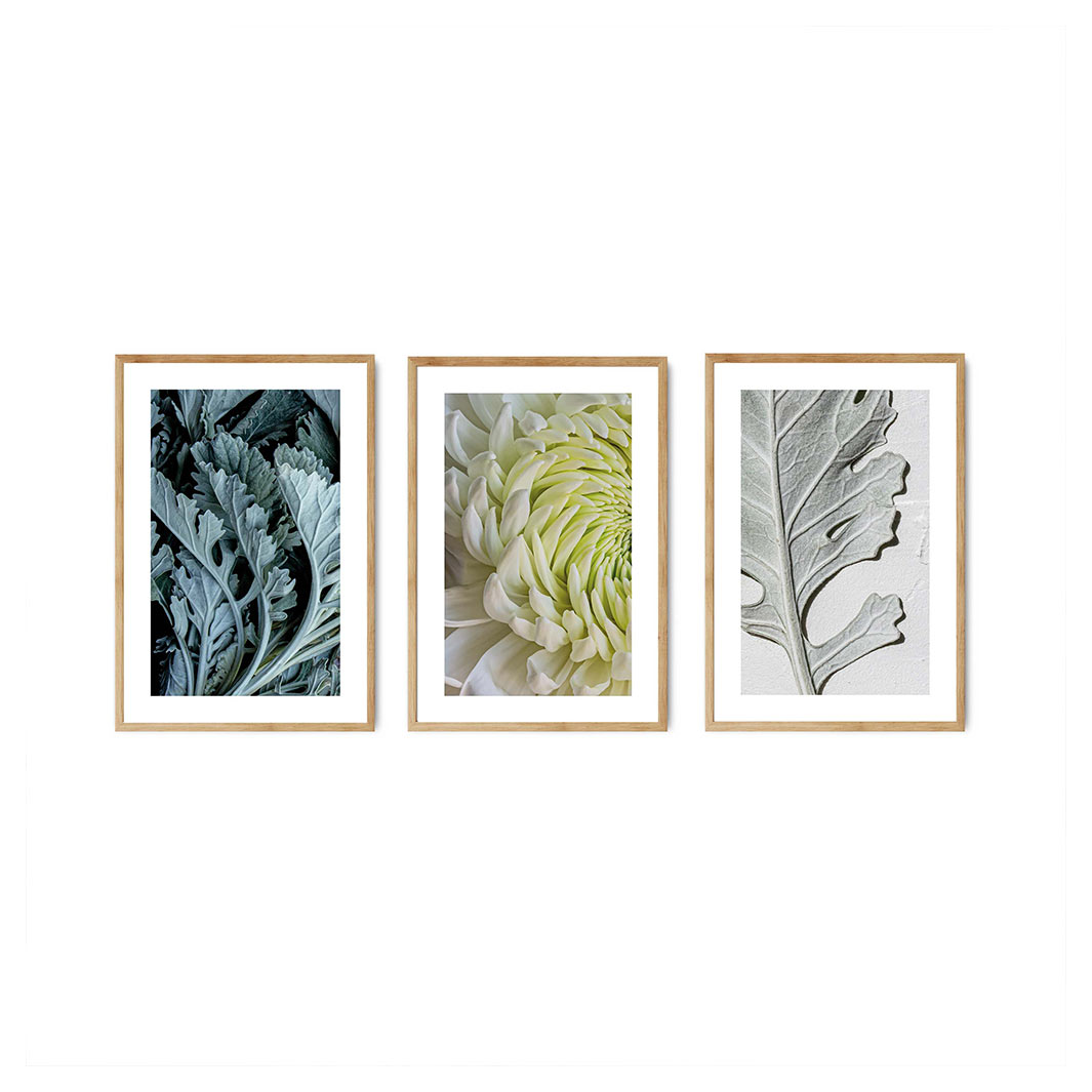 SAGE WAVES CURATED WALL ART 3 PIECE
