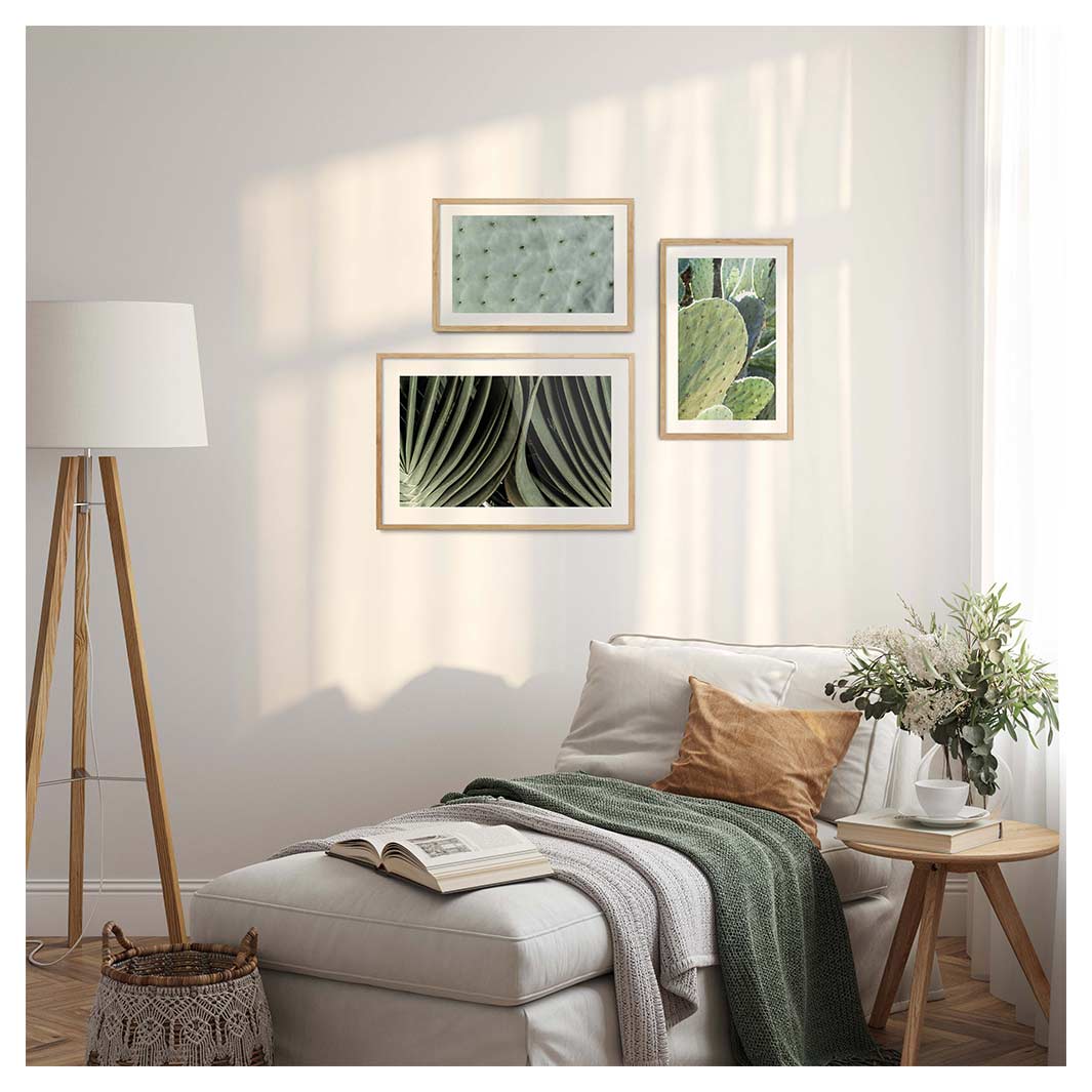 EVERGREEN PATTERNS CACTI CURATED WALL ART 3 PIECE