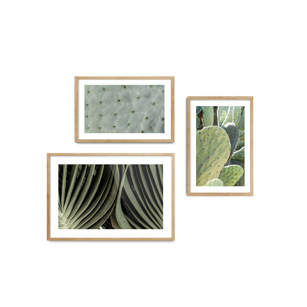 EVERGREEN PATTERNS CACTI CURATED WALL ART 3 PIECE