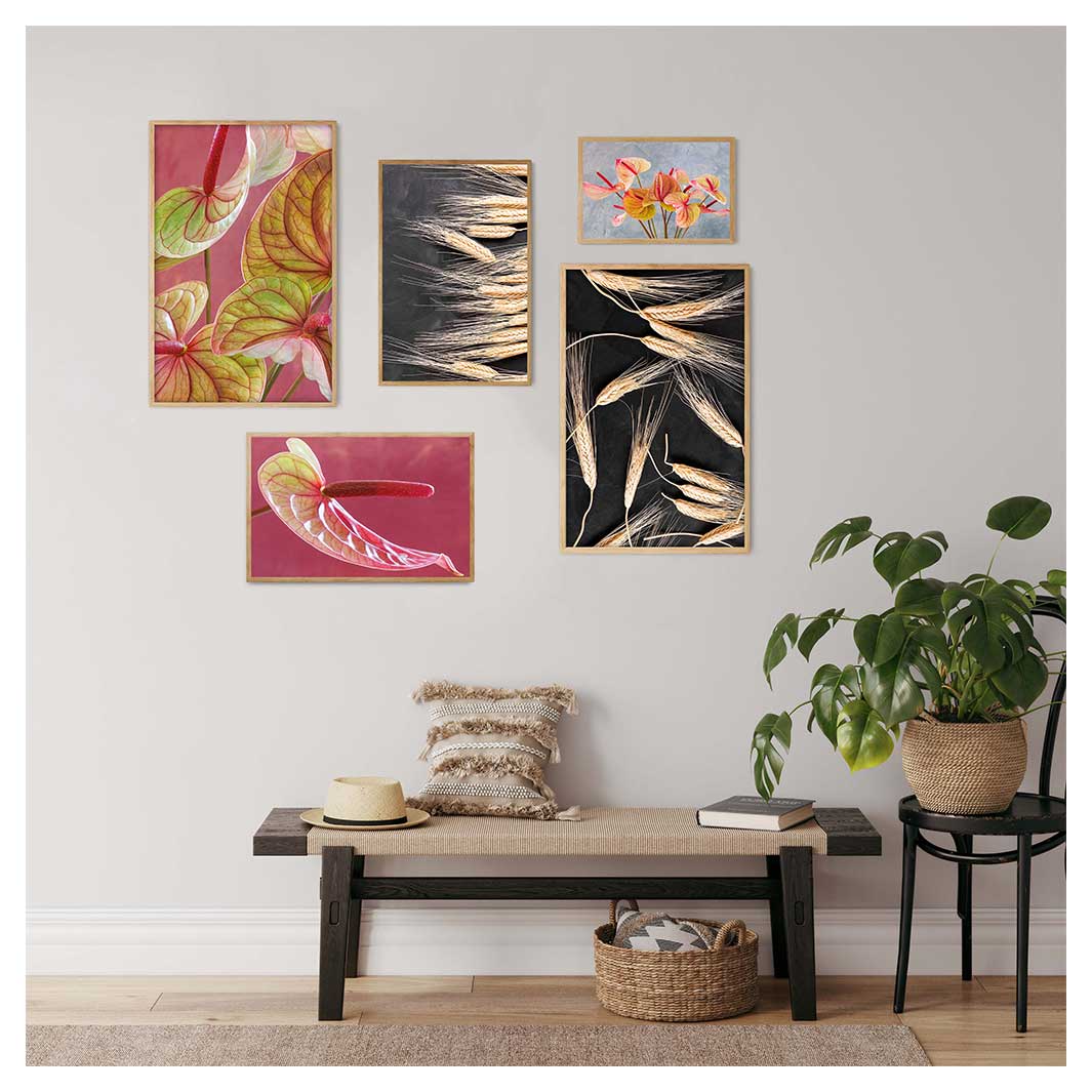 SUMMER HARVEST CONTRAST WALL ART 5 PIECE