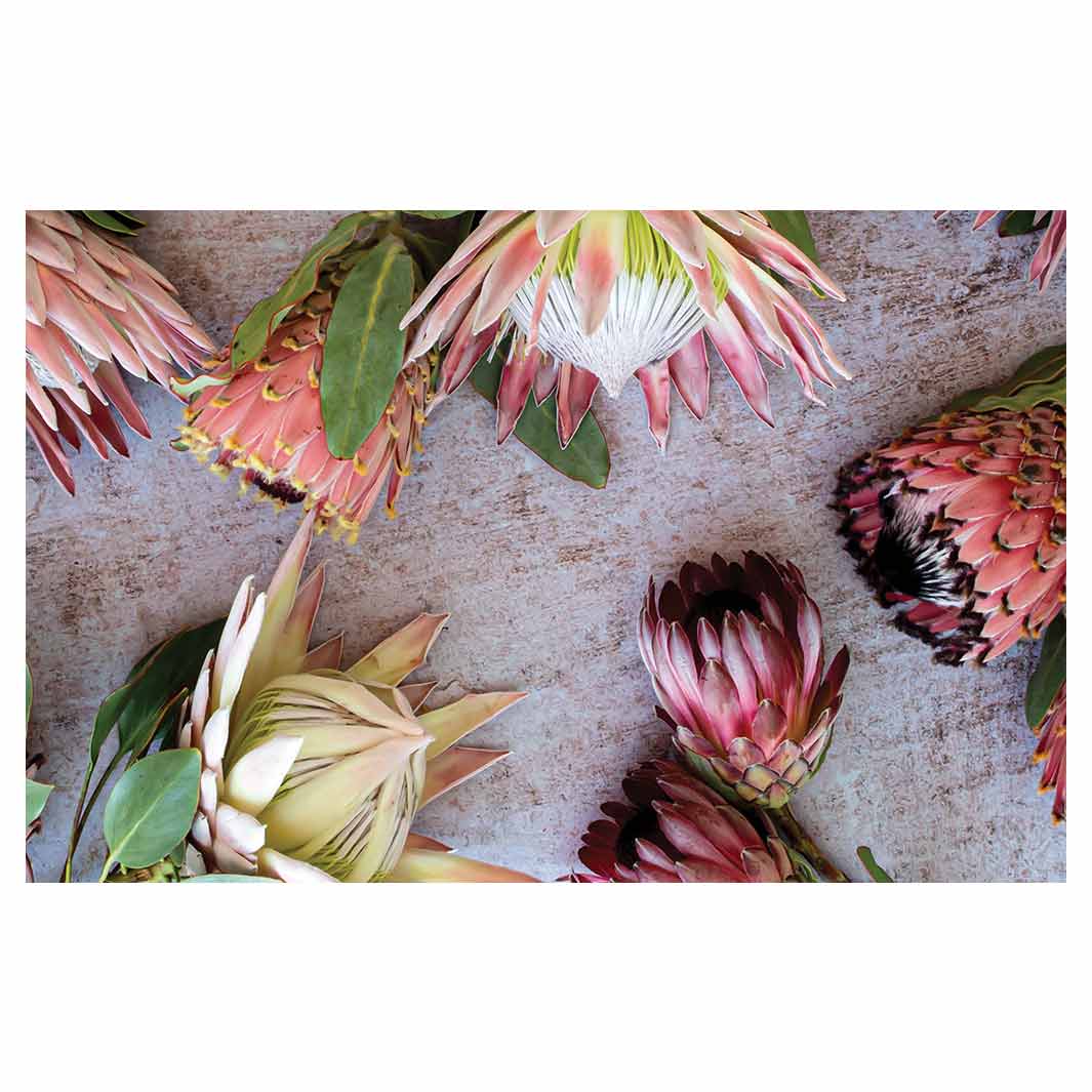 FLORAL PINK MIXED KING PROTEAS BATHMAT