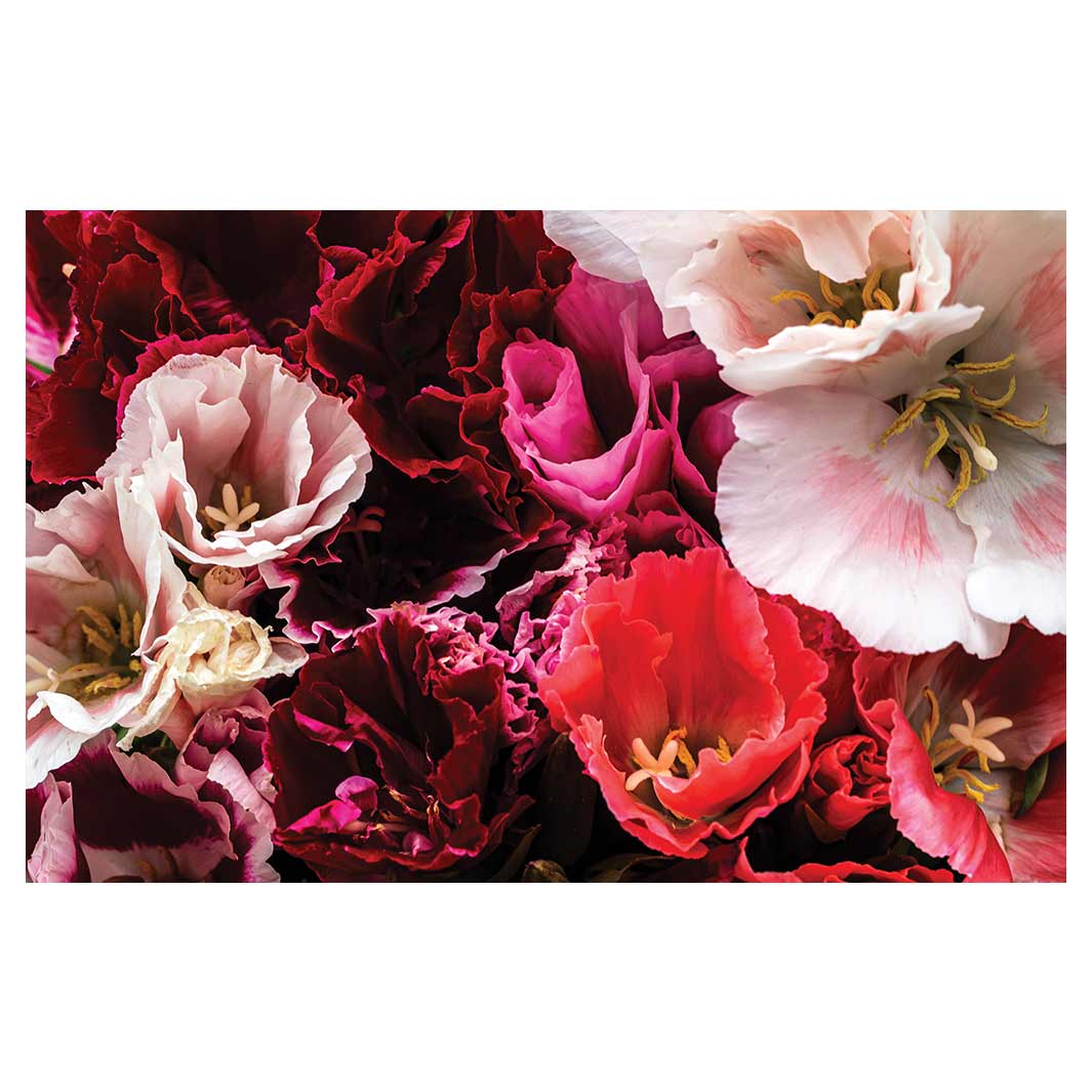 FLORAL PINK AND RED LISIANTHUS FLOWER MIX BATHMAT