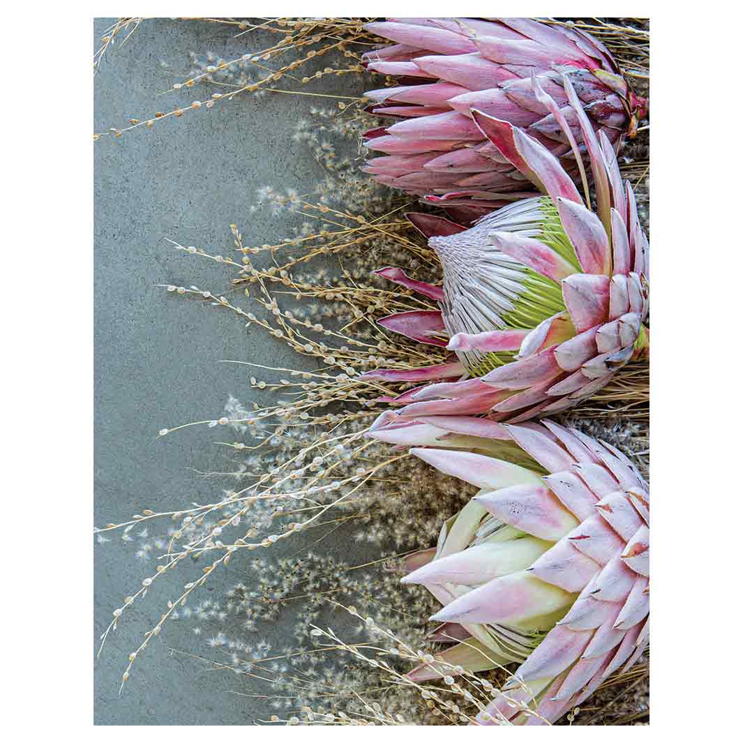 FLORAL DEEP PINK KING PROTEA FLEECE BLANKET