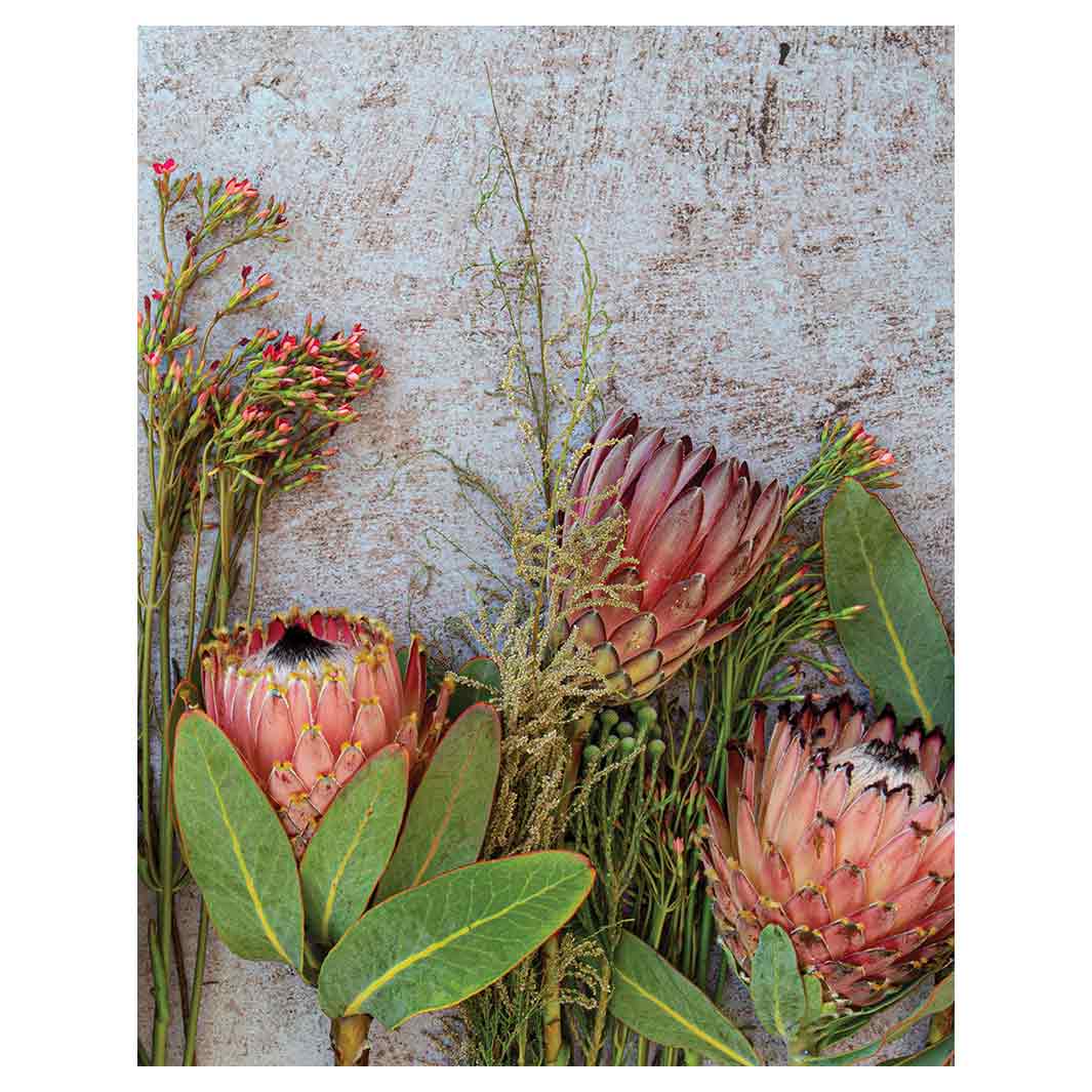 FLORAL PINK MIXED PROTEAS WITH GREEN FOLIAGE FLEECE BLANKET