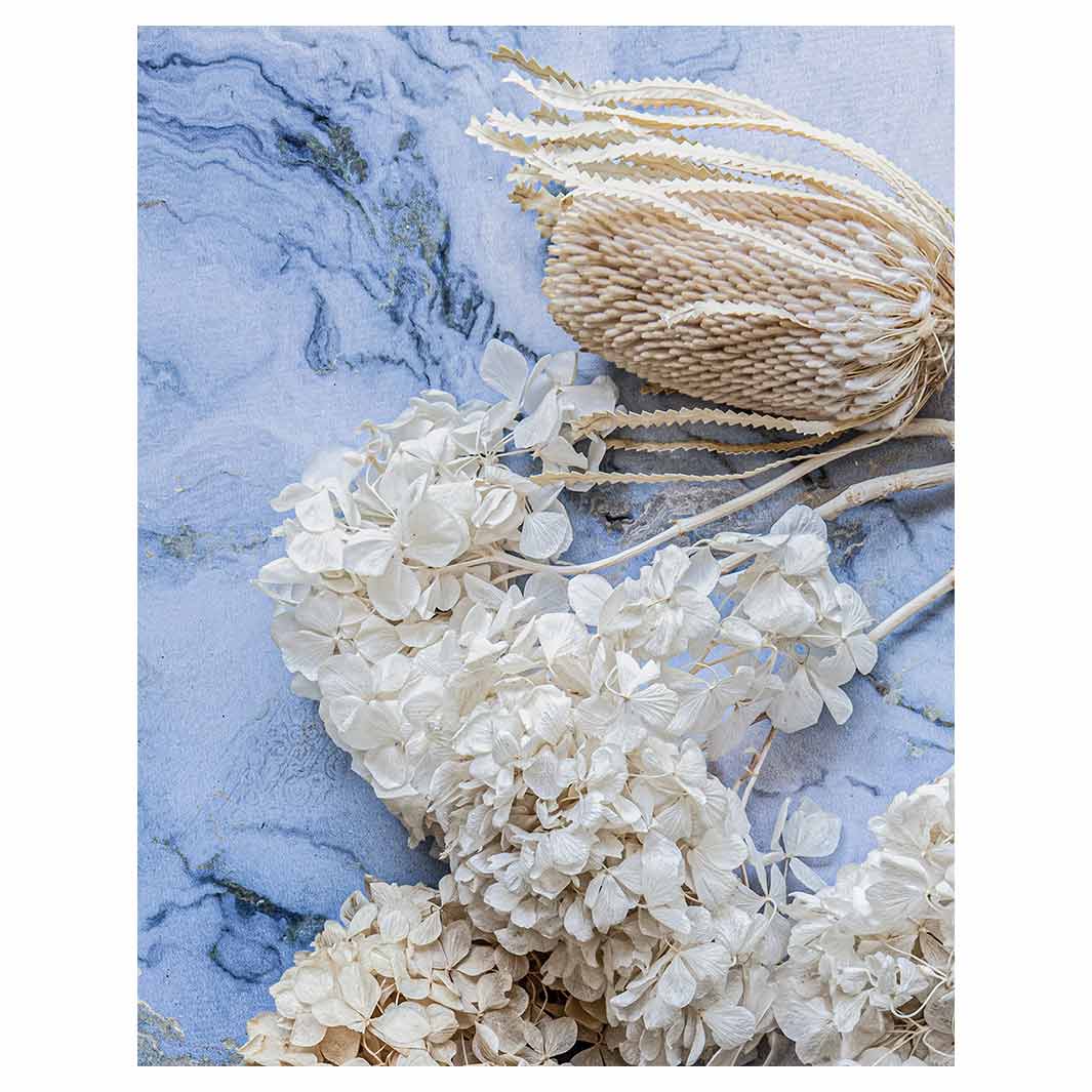 FLORAL CREAM BLEACHED HYDRANGEAS ON BLUE FLEECE BLANKET