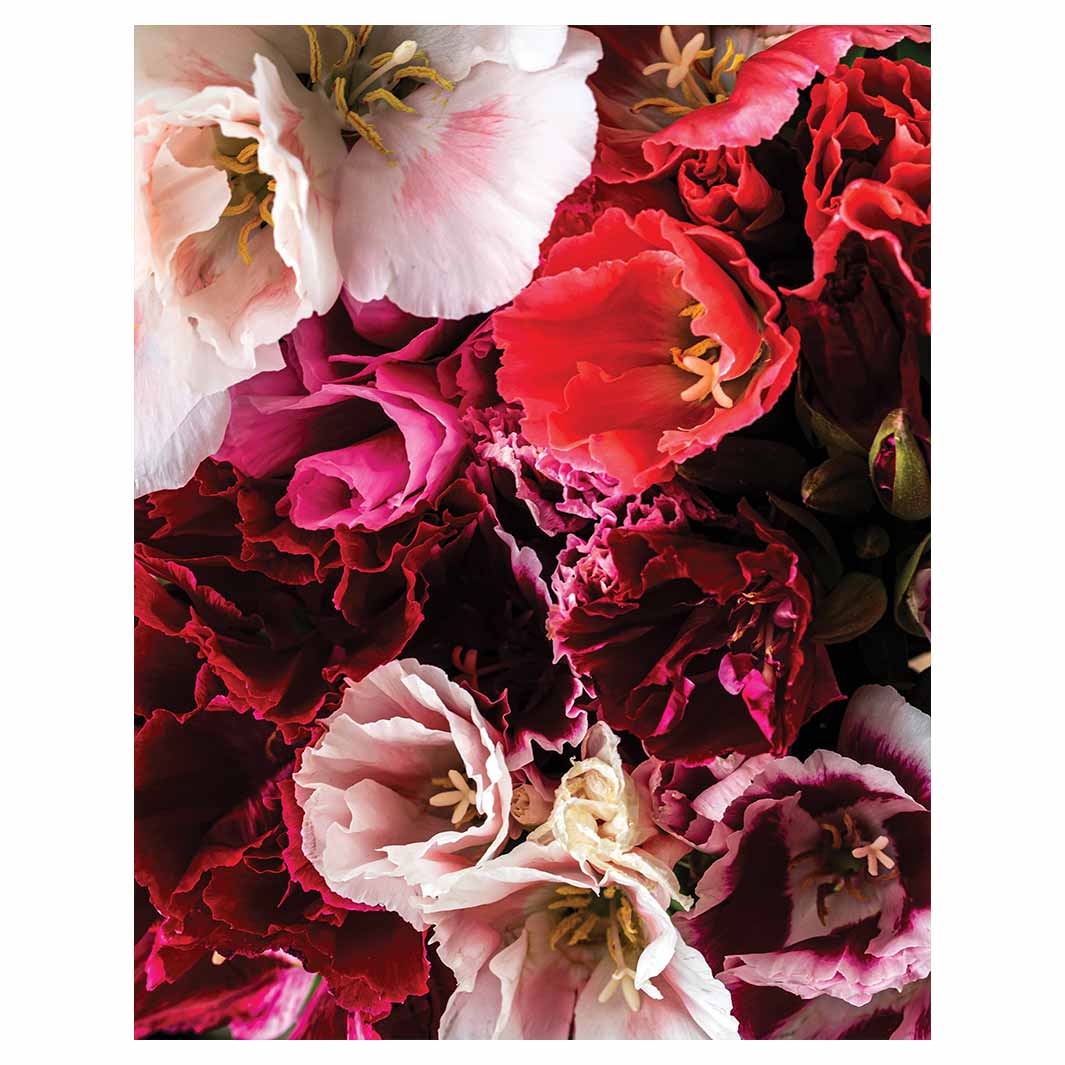 FLORAL PINK AND RED LISIANTHUS FLOWER MIX FLEECE BLANKET