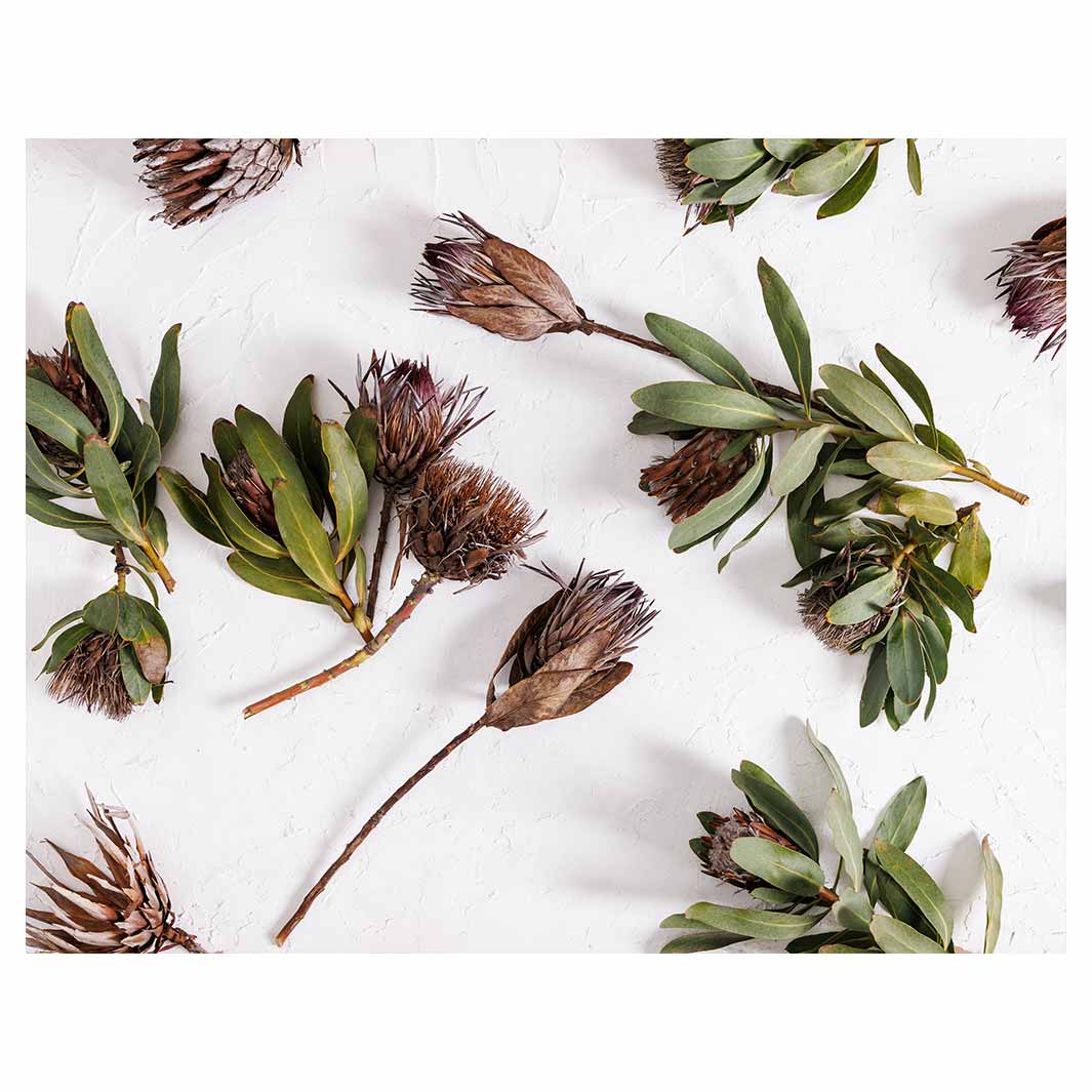 SCATTERED DRIED PROTEA WITH GREEN LEAVES FLEECE BLANKET