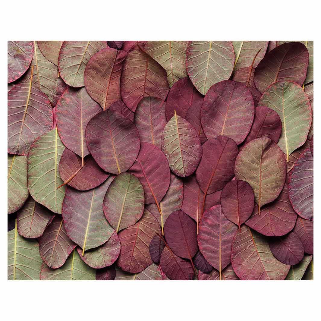 LEAF ARRANGEMENT DARK MAUVE AND GREEN FLEECE BLANKET