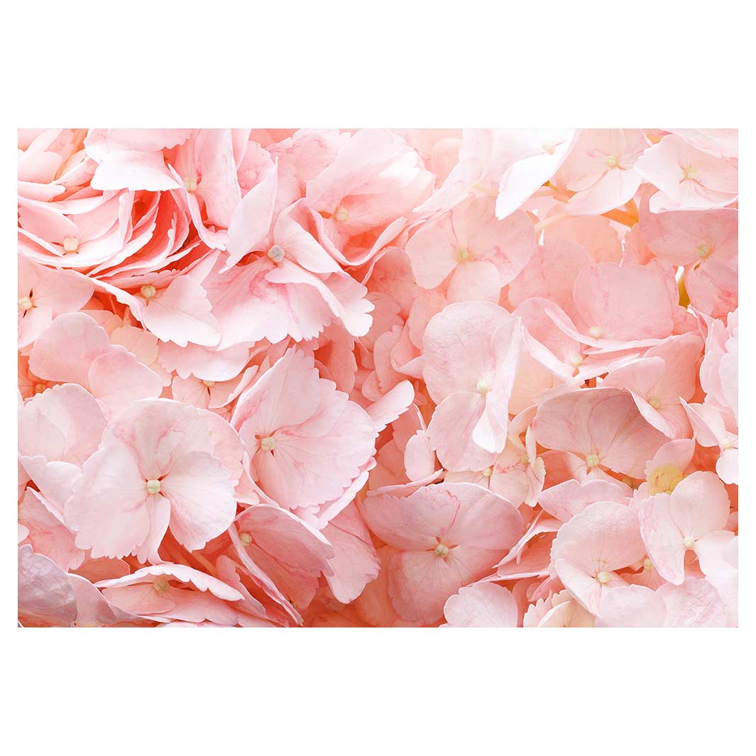 HYDRANGEA SOFT PINK FLEECE BLANKET