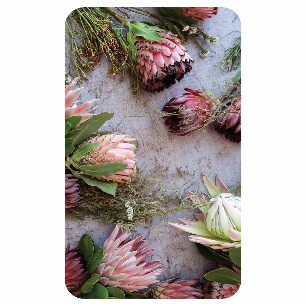 FLORAL PINK MIXED KING PROTEAS KITCHEN TOWEL