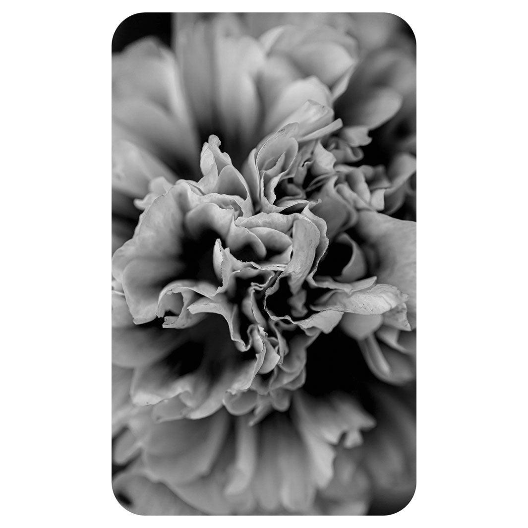 FLORAL BLACK AND WHITE PEONY KITCHEN TOWEL