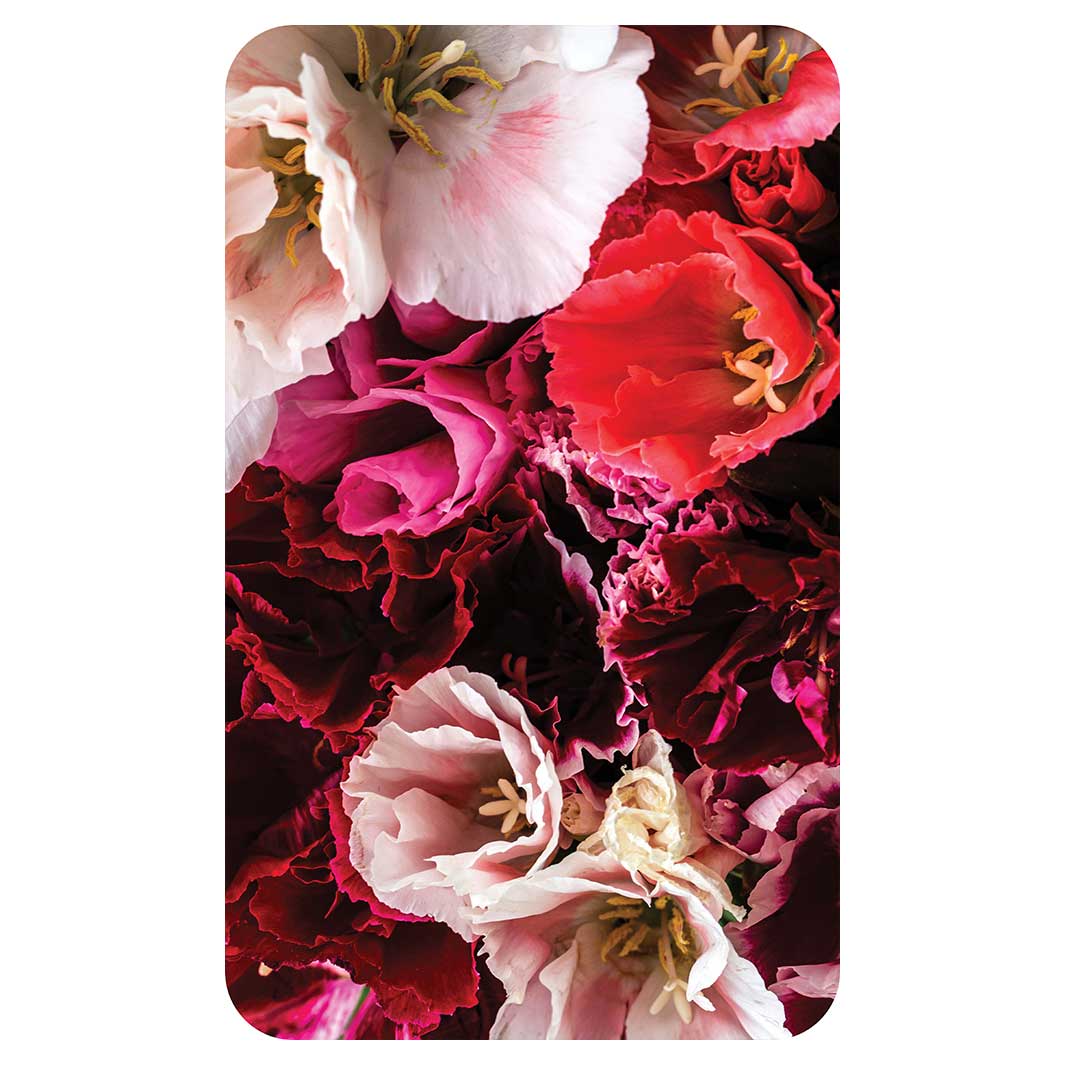 FLORAL PINK AND RED LISIANTHUS FLOWER MIX KITCHEN TOWEL