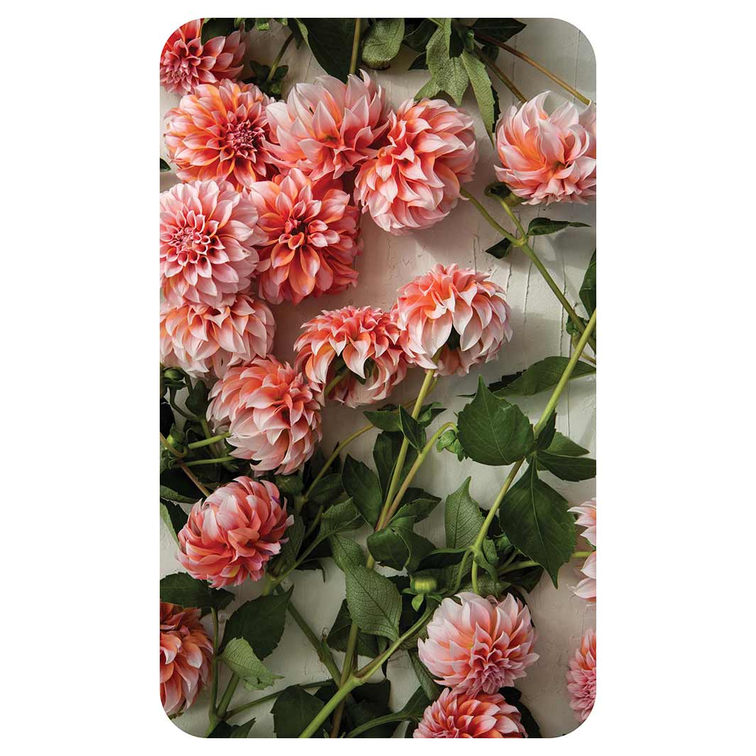 FLORAL ORANGE SCATTERED DAHLIAS WITH LEAVES KITCHEN TOWEL