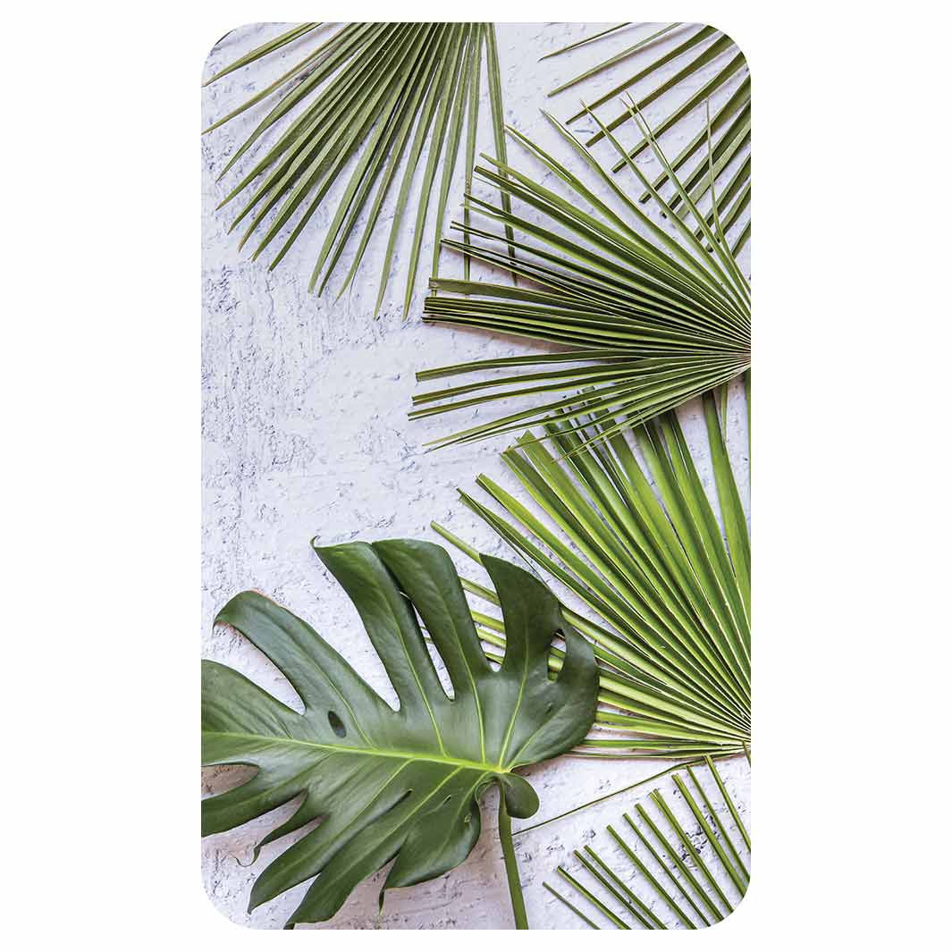 LEAVES GREEN PALM LEAVES ON WHITE KITCHEN TOWEL