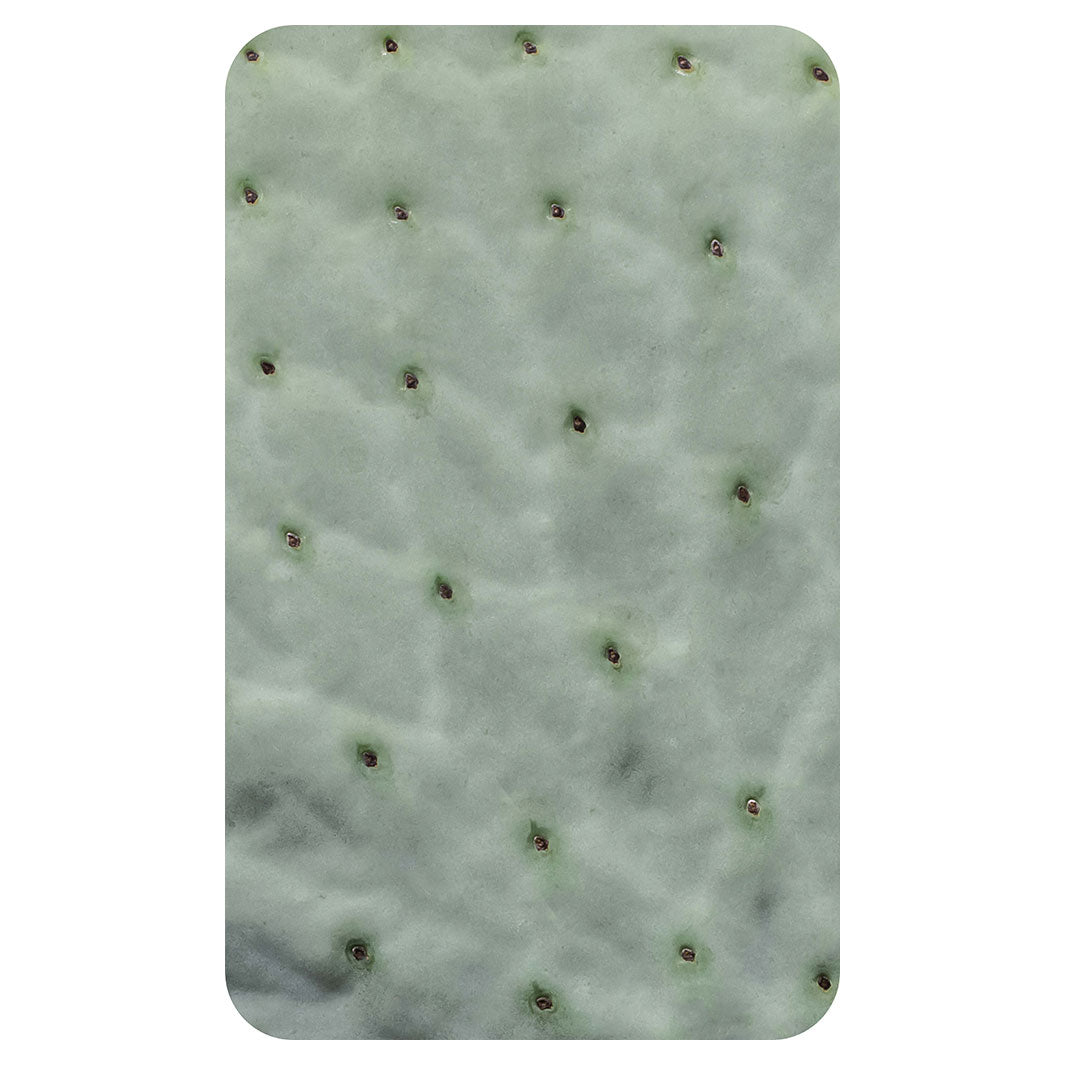 NATURAL GREEN PRICKLY PEAR LEAF KITCHEN TOWEL
