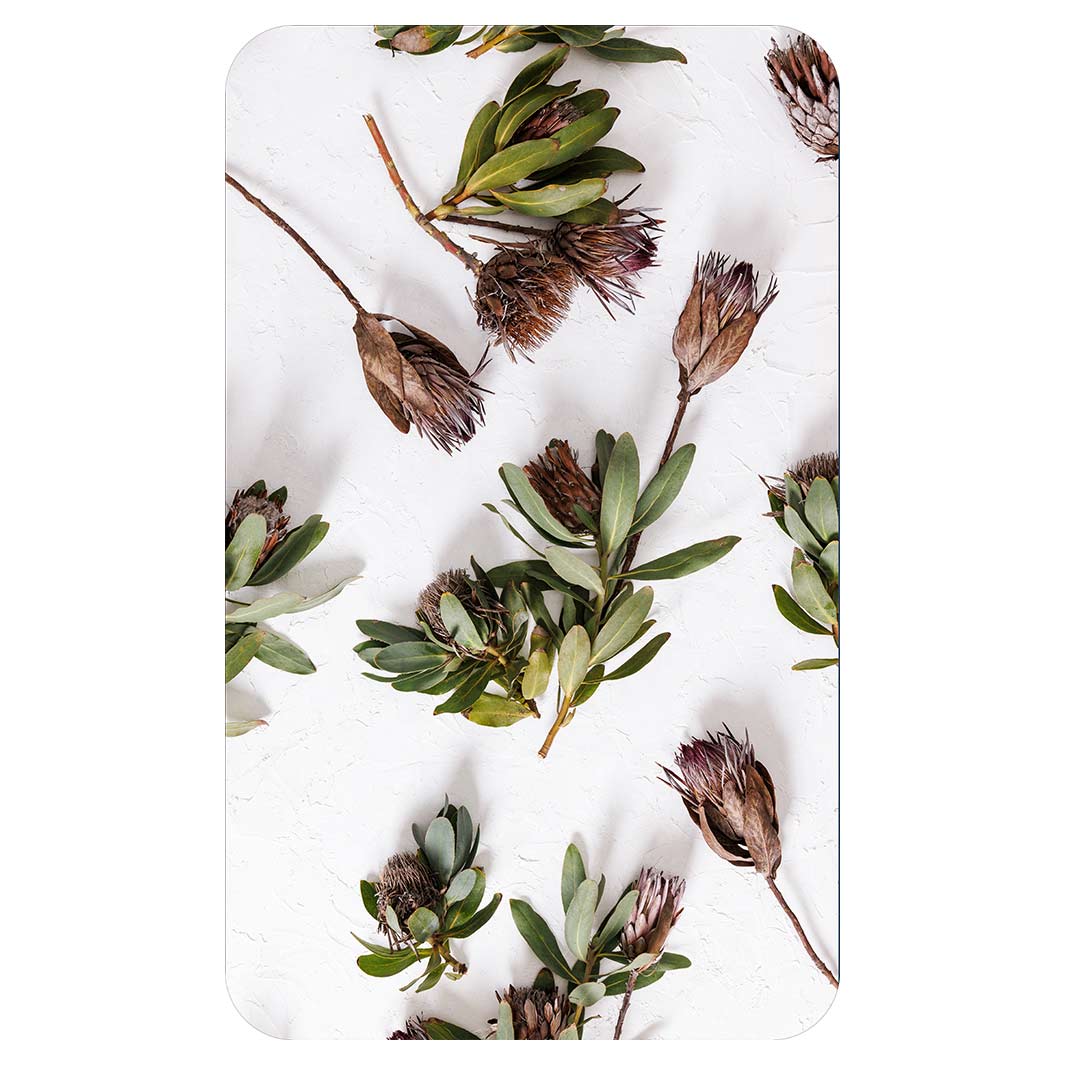 SCATTERED DRIED PROTEA WITH GREEN LEAVES KITCHEN TOWEL