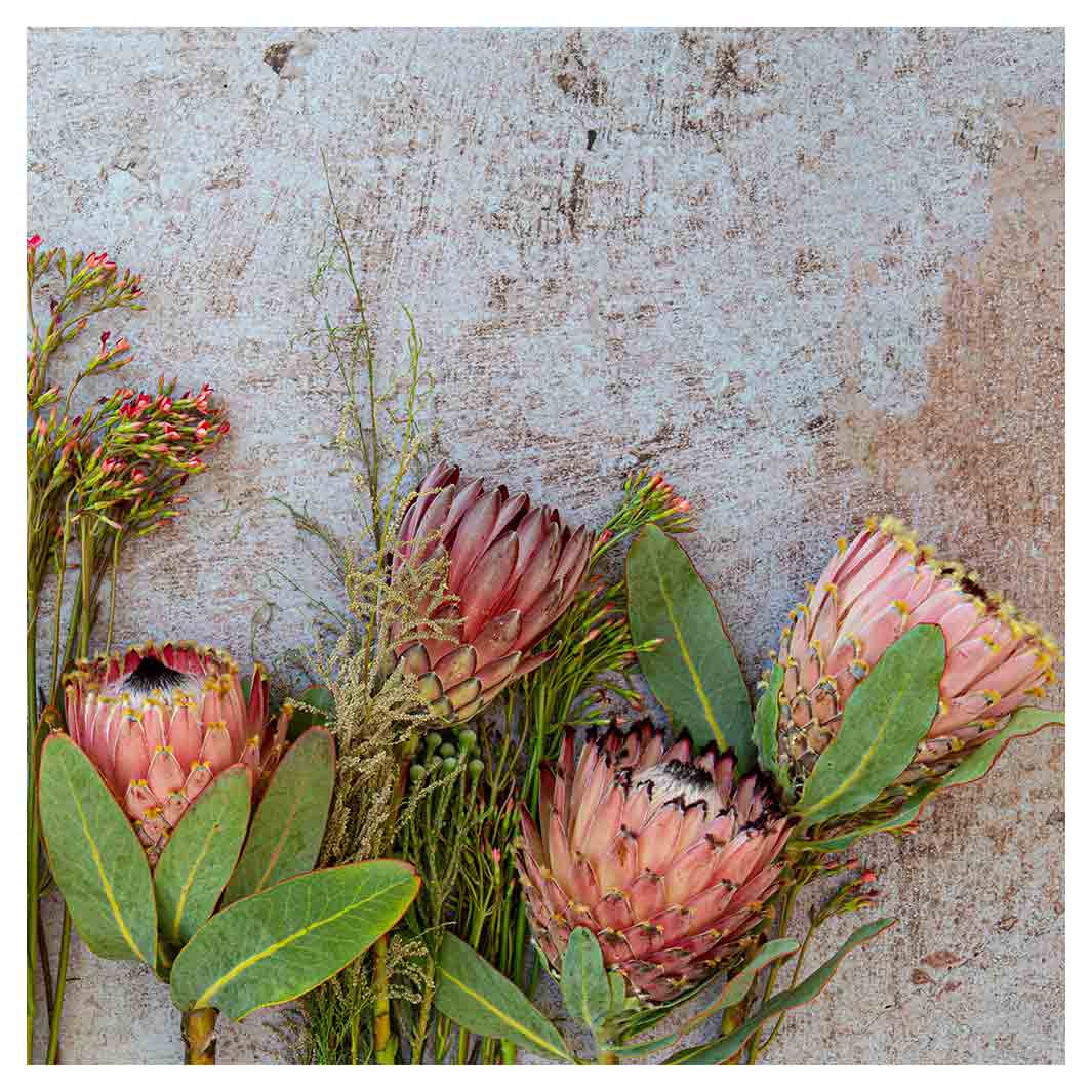 FLORAL PINK MIXED PROTEAS WITH GREEN FOLIAGE MAKE-UP BAG