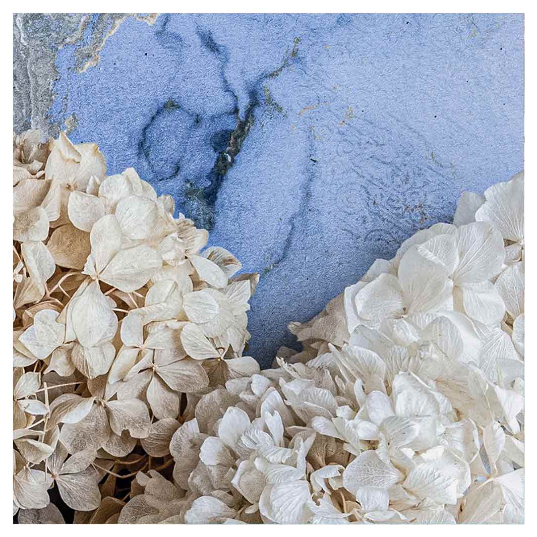 FLORAL CREAM BLEACHED HYDRANGEAS ON BLUE MAKE-UP BAG