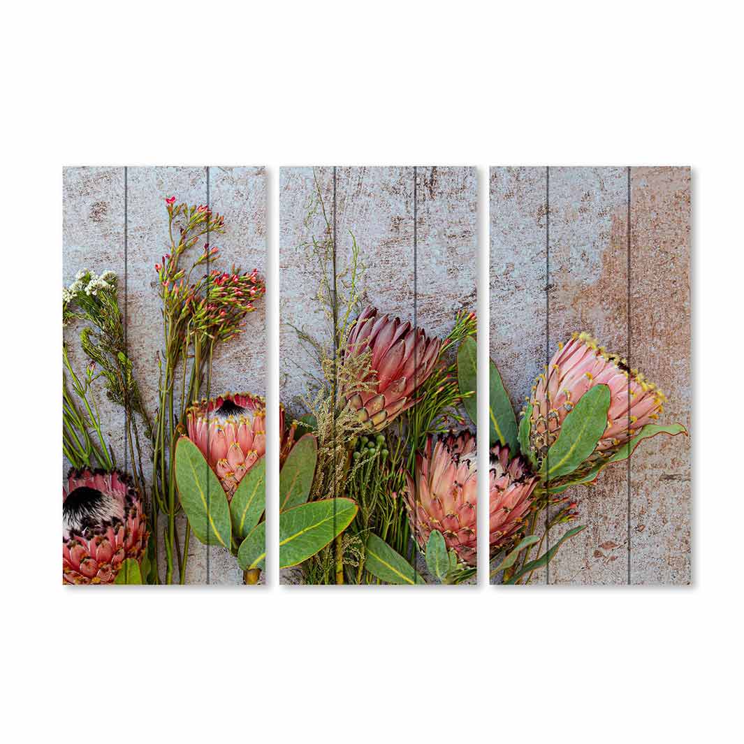 FLORAL PINK MIXED PROTEAS WITH GREEN FOLIAGE MDF 3 PIECE COLLAGE