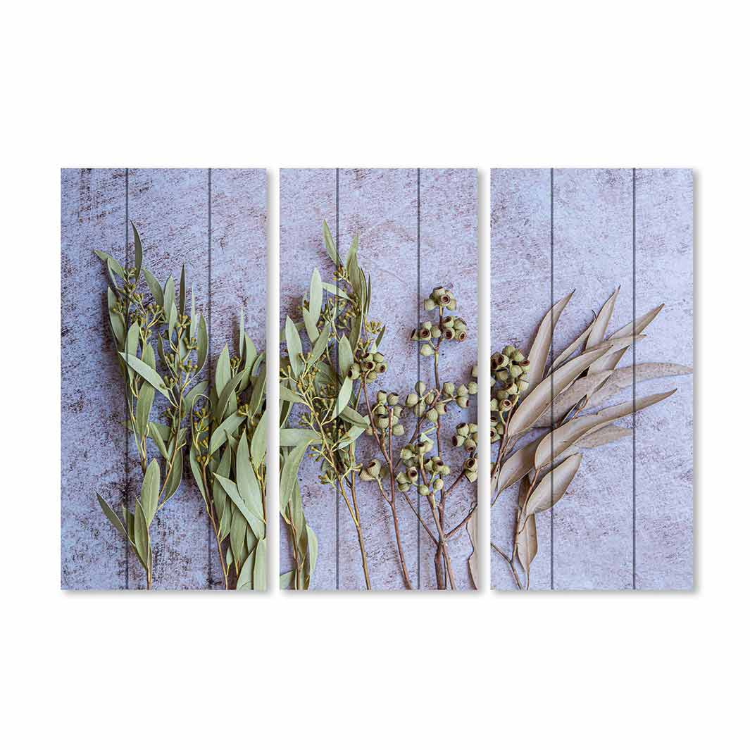 LEAVESGREEN NATURAL AMBERNUTS WITH GREEN FOLIAGE MDF 3 PIECE COLLAGE