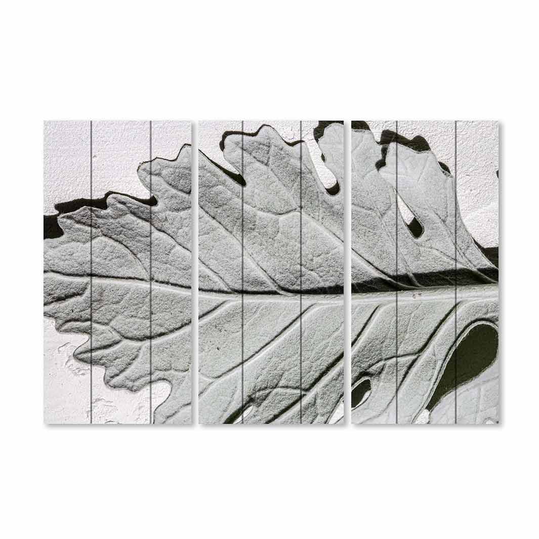 LEAVES GREY MONOCHROME LEAF MDF 3 PIECE COLLAGE