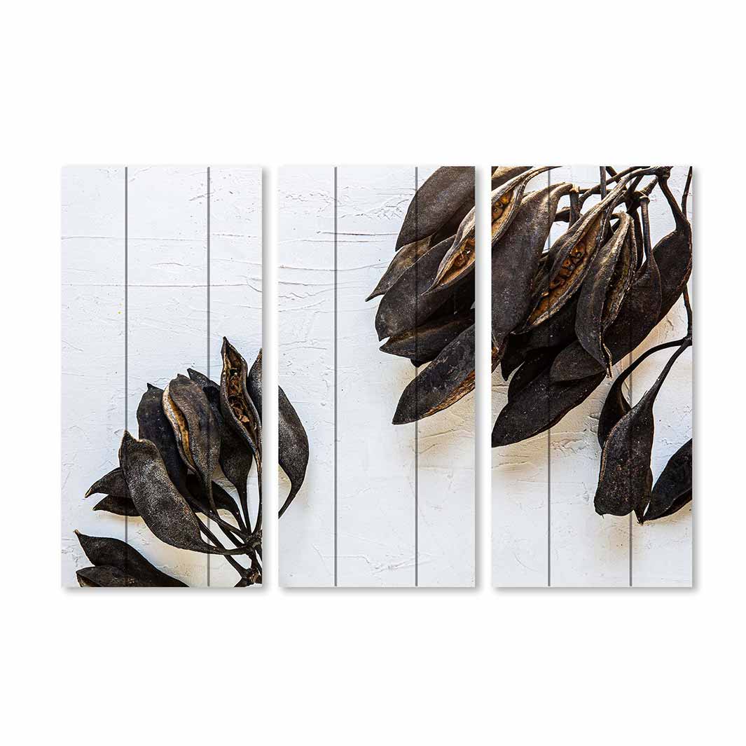 NATURAL BROWN DRIED SEED PODS MDF 3 PIECE COLLAGE