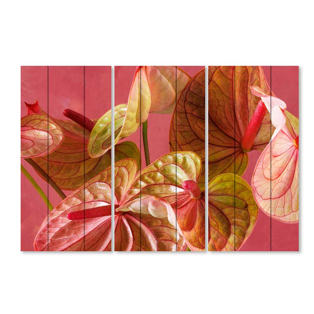 ANTHURIUM LIGHT PINK AND GREEN ON MAGENTA MDF 3 PIECE COLLAGE