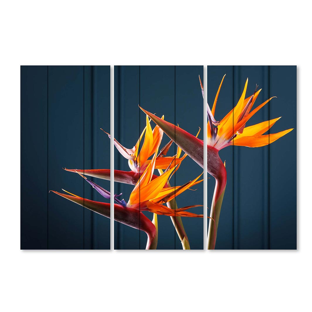 STRELITZIA TRIO ON RICH BLUE MDF 3 PIECE COLLAGE