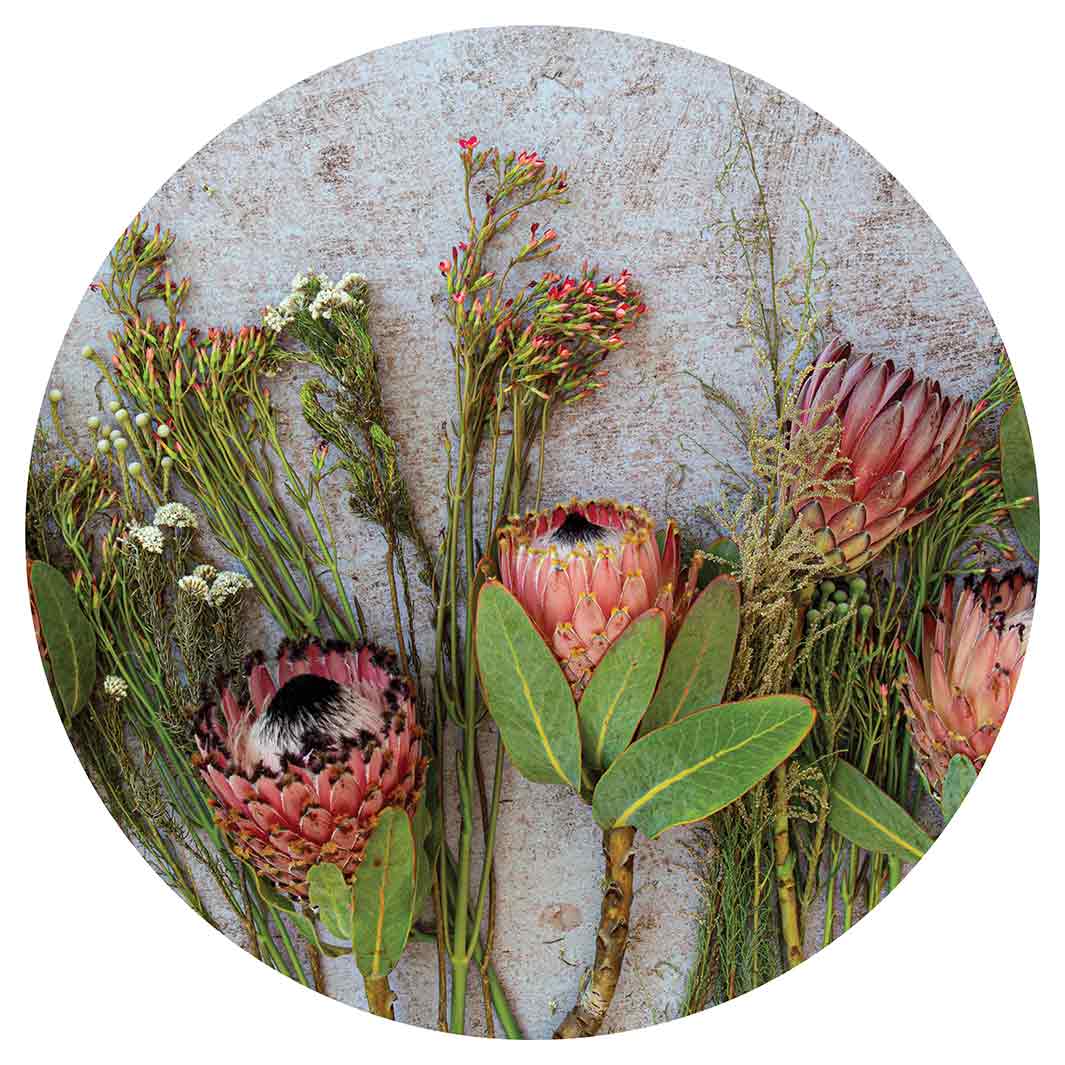 FLORAL PINK MIXED PROTEAS WITH GREEN FOLIAGE MOUSEPAD