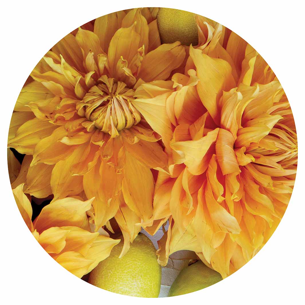 FLORAL YELLOW CHRYSANTHEMUM FLOWERS WITH FOLIAGE MOUSEPAD