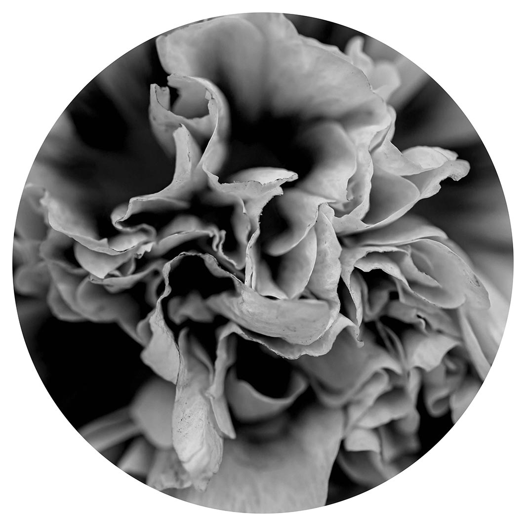 FLORAL BLACK AND WHITE PEONY MOUSEPAD