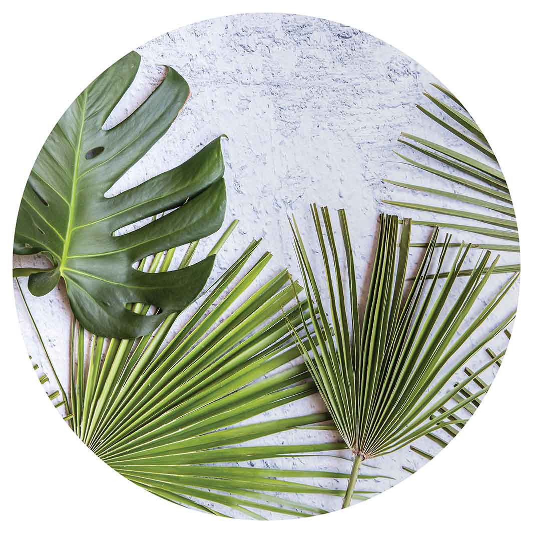 LEAVES GREEN PALM LEAVES ON WHITE MOUSEPAD