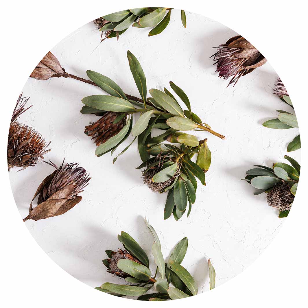 SCATTERED DRIED PROTEA WITH GREEN LEAVES MOUSEPAD