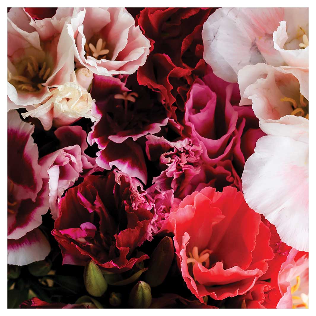 FLORAL PINK AND RED LISIANTHUS FLOWER MIX NAPKIN