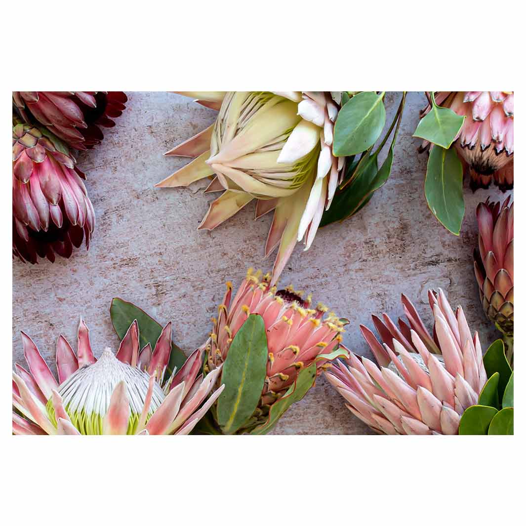 FLORAL PINK MIXED KING PROTEAS RECTANGULAR PLACEMAT