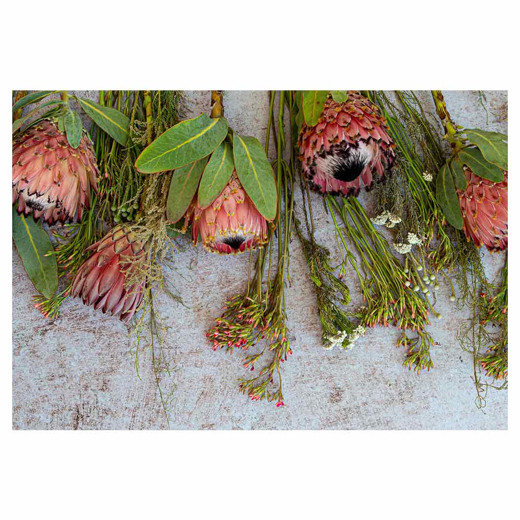 FLORAL PINK MIXED PROTEAS WITH GREEN FOLIAGE RECTANGULAR PLACEMAT