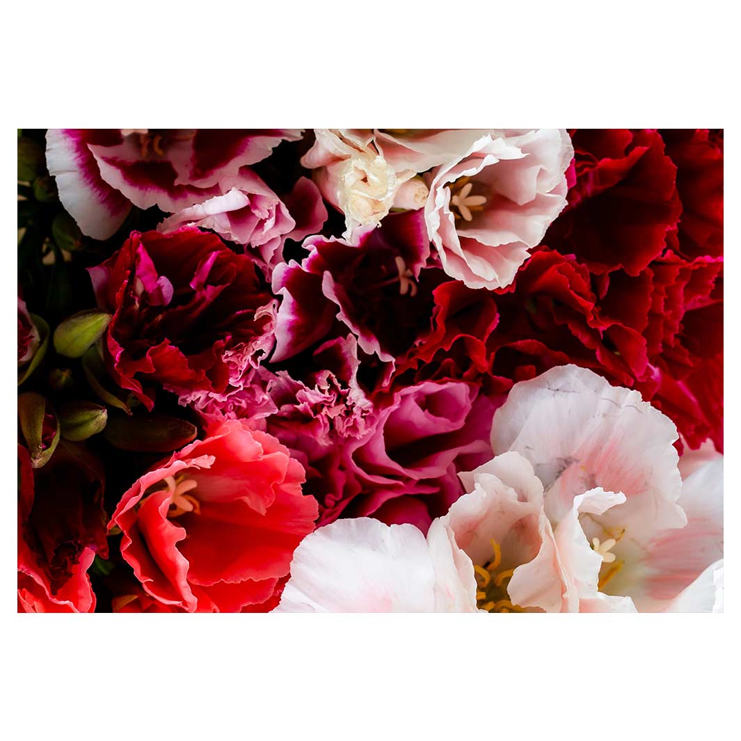 FLORAL PINK AND RED LISIANTHUS FLOWER MIX RECTANGULAR PLACEMAT