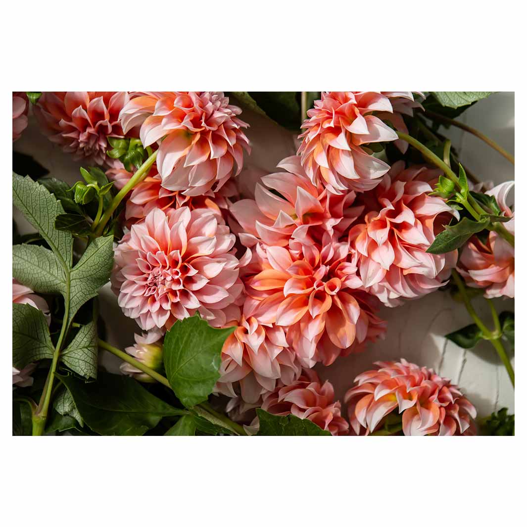 FLORAL ORANGE SCATTERED DAHLIAS WITH LEAVES RECTANGULAR PLACEMAT