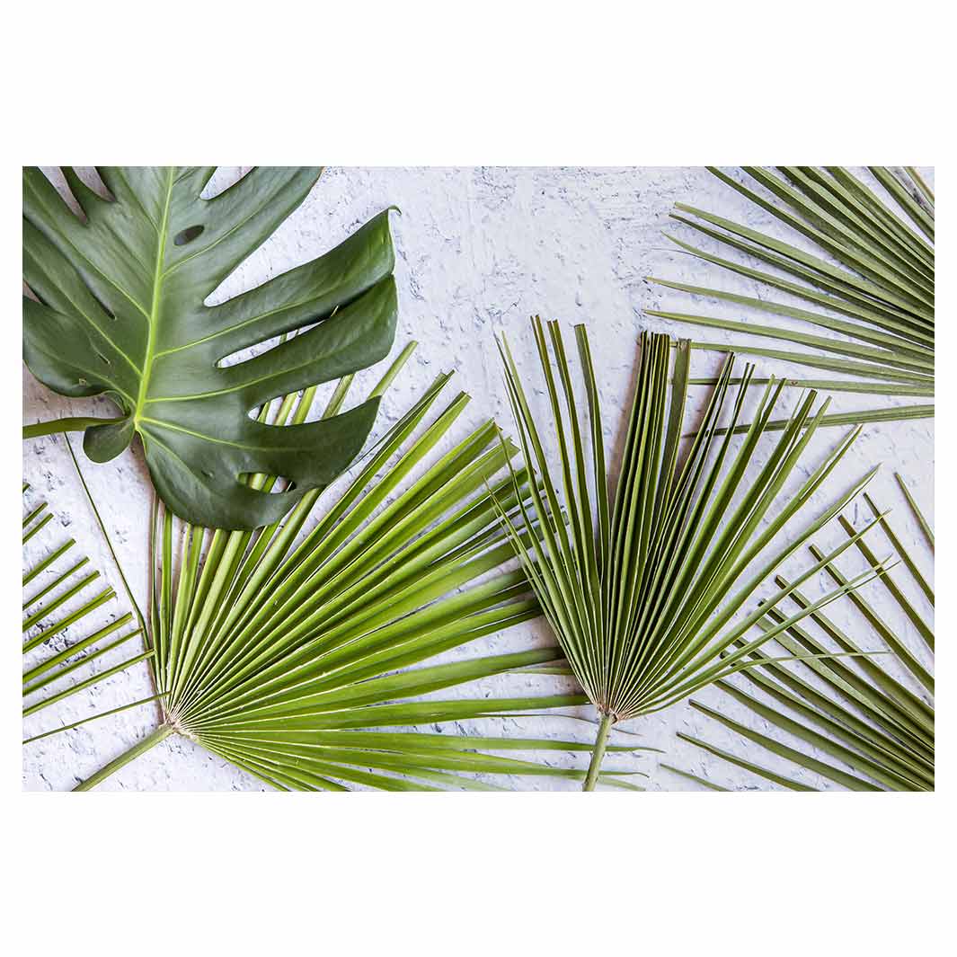 LEAVES GREEN PALM LEAVES ON WHITE RECTANGULAR PLACEMAT