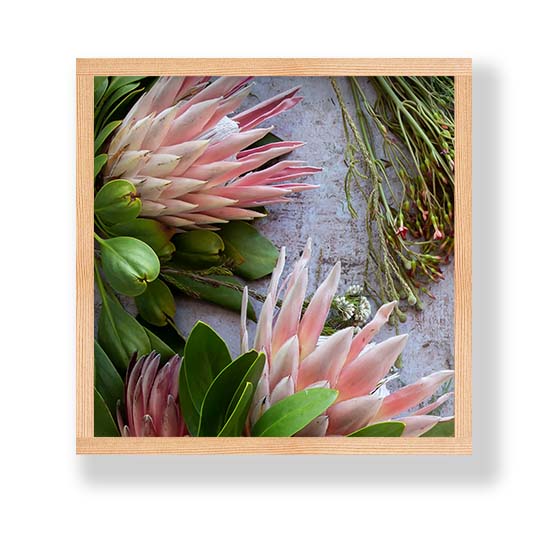 FLORAL PINK MIXED KING PROTEAS PINE BOX