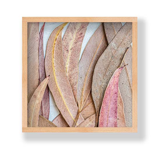 LEAVES PINK DRIED LEAVES PINE BOX