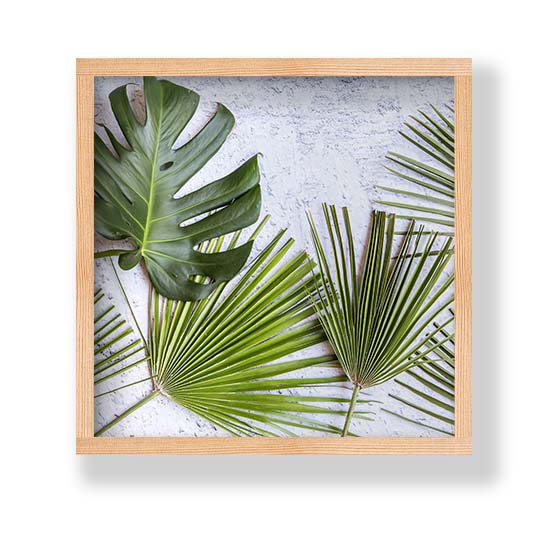 LEAVES GREEN PALM LEAVES ON WHITE PINE BOX