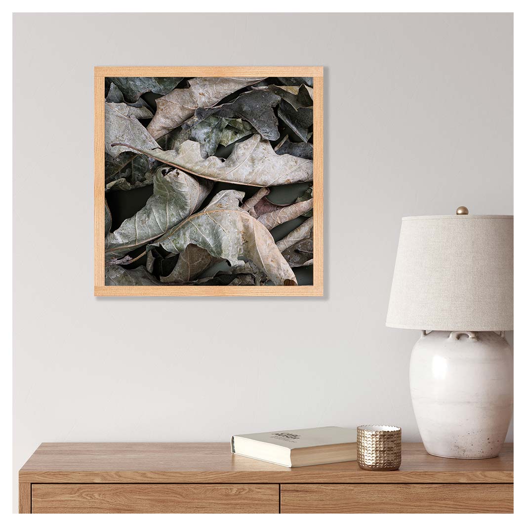 MONOCHROMATIC GREY GREEN LEAVES PINE BOX