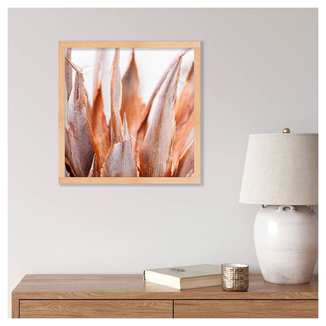 DRIED PINK PROTEA PINE BOX