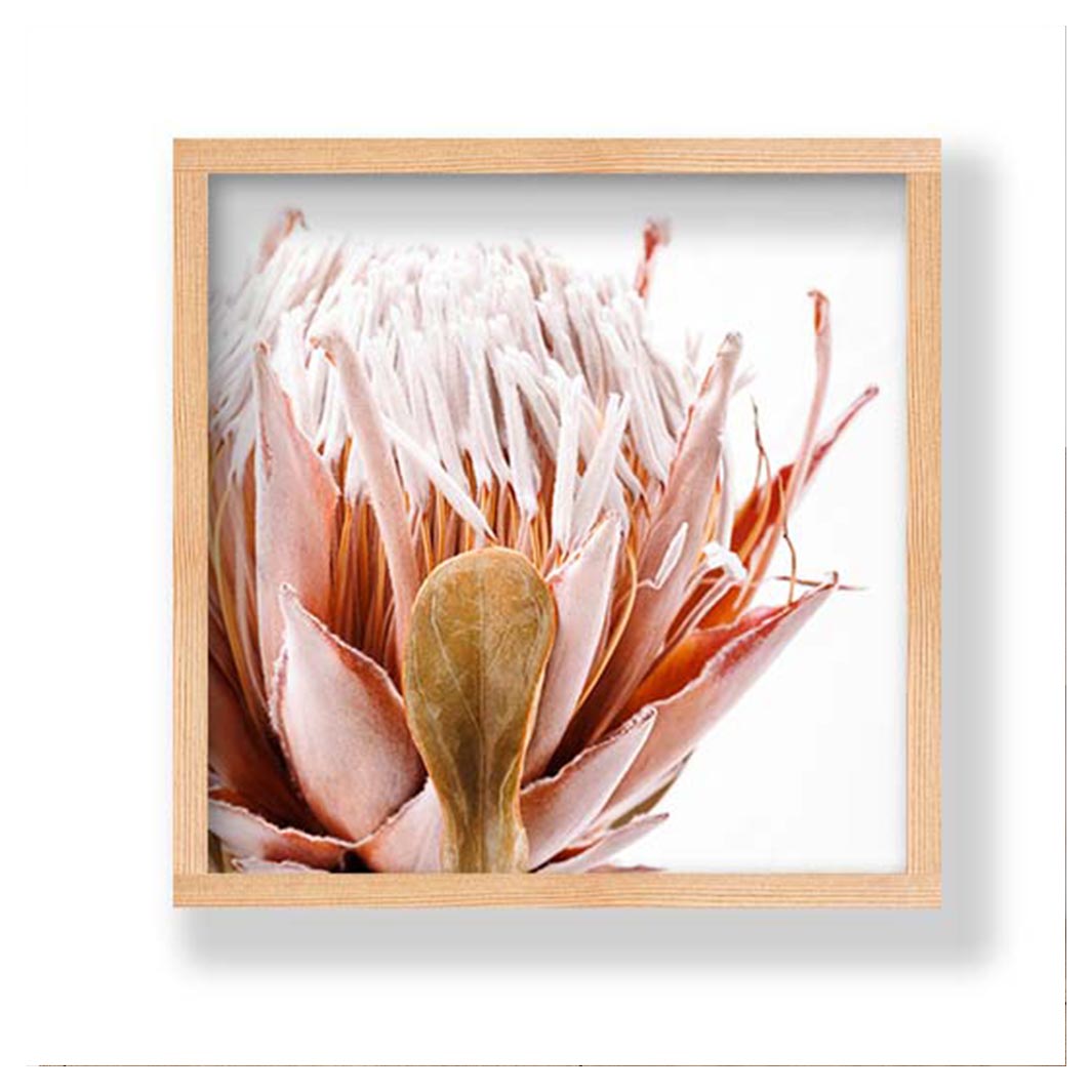 PROTEA DETAILS PINK AND OLIVE PINE BOX