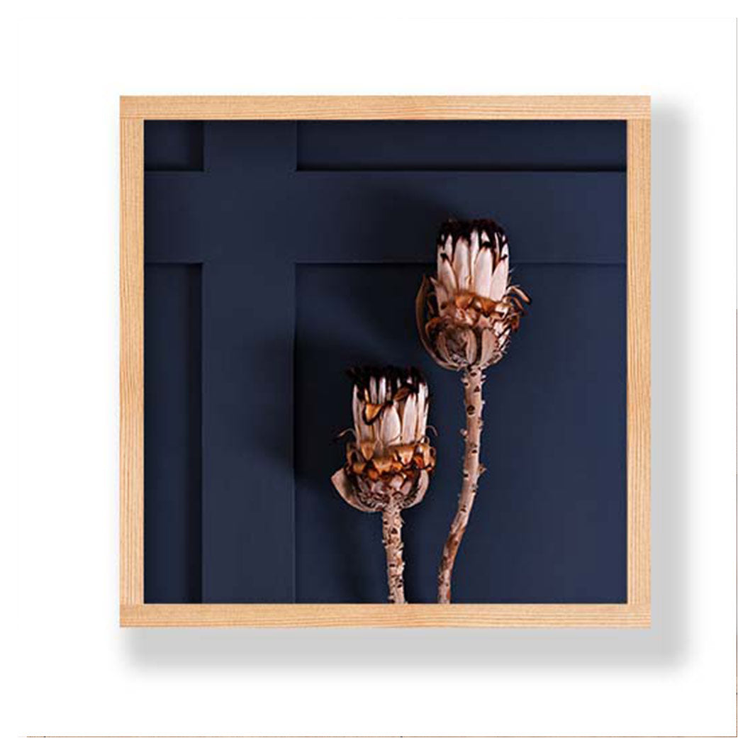 LIGHT PROTEA PAIR ON NAVY PINE BOX