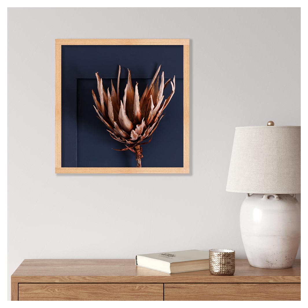 SINGLE DRIED LIGHT PROTEA ON NAVY PINE BOX