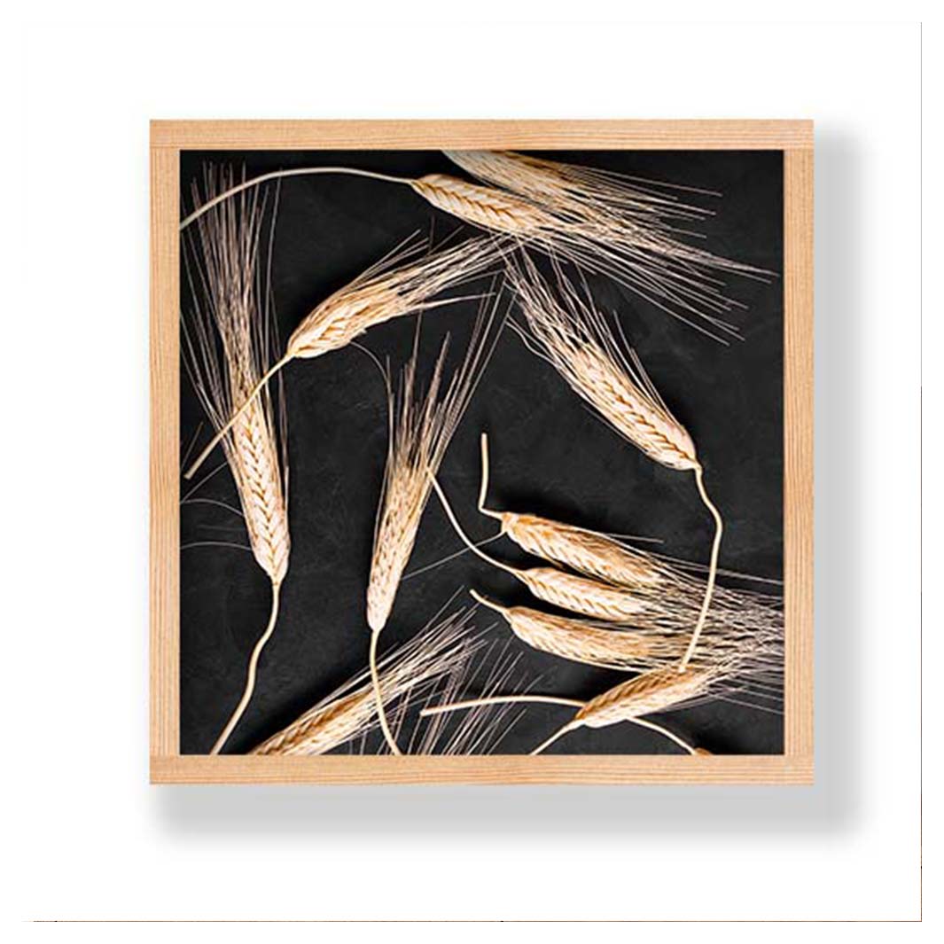 SCATTERED WHEAT ON BLACK PINE BOX